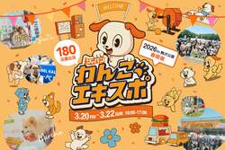 「愛犬と入場無料！180店が集結する「国内最大級のわんこ祭」が駒沢公園で3日間開催」の写真