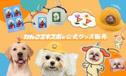 「愛犬と入場無料！180店が集結する「国内最大級のわんこ祭」が駒沢公園で3日間開催」の写真