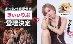 「愛犬と入場無料！180店が集結する「国内最大級のわんこ祭」が駒沢公園で3日間開催」の写真