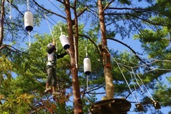 地上約8mで繰り広げられる冒険の森「DGウッドアドベンチャー郡上」