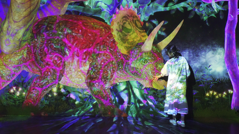 （C）チームラボ