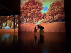 壁一面に映る四季の流れと動物の姿