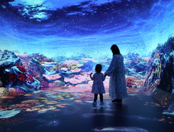 海のなかを歩いているような気分になれるゾーンです