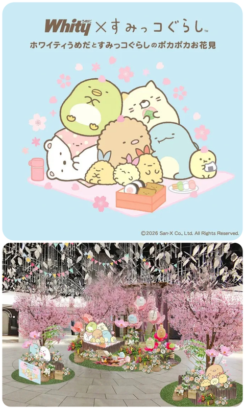 ホワイティうめだとすみっコぐらしのポカポカお花見│(C)2026 San-X Co., Ltd. All Rights Reserved.