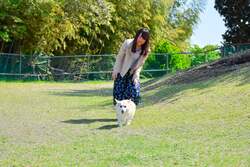 「愛犬と一緒にゴーカート！天然芝ドッグラン＆イルミも　伊豆ぐらんぱる公園で春フェス」の写真