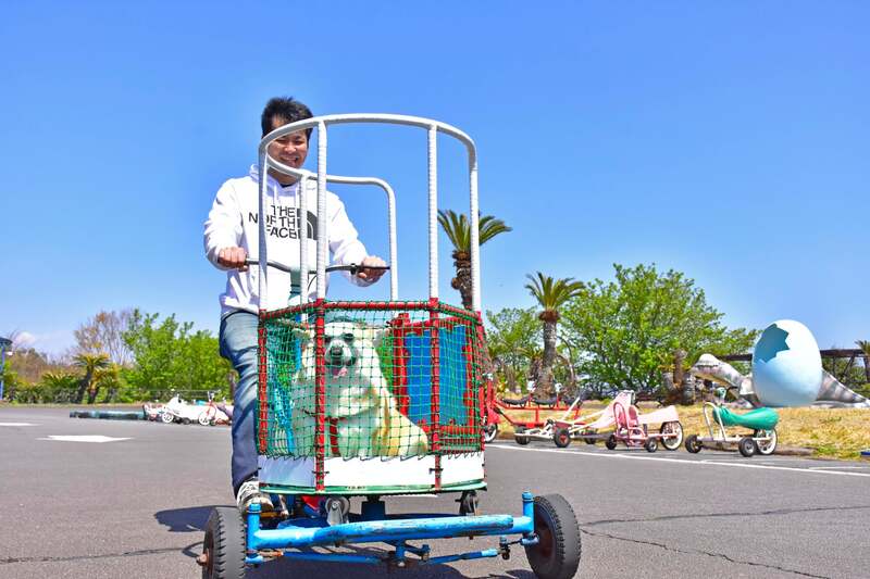 ユニークな形の自転車がいっぱい！「おもしろ自転車」