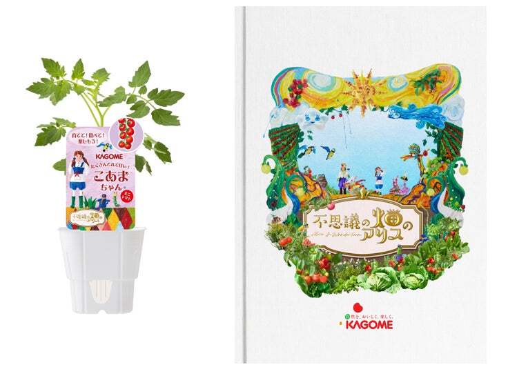 プレゼント商品イメージ