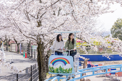 「【関東】春休みもおすすめ！2026年4月の親子向けおでかけ先＆イベントまとめ」の写真