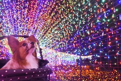 「【東海】春休みもおすすめ！2026年4月の親子向けおでかけ先＆イベントまとめ」の写真