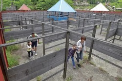 「【2026最新】関東の「巨大迷路＆立体迷路」おすすめ10選　変わり種＆謎解きも！」の写真