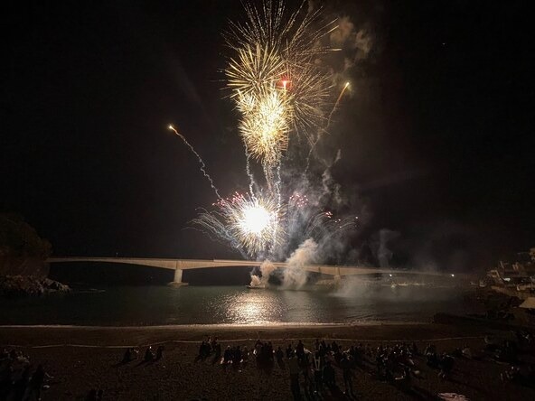 春の夜空に舞い上がる大迫力の花火
