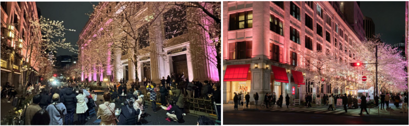 ニホンバシ桜屋台Night