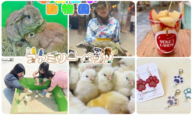 とかみDEマルシェ