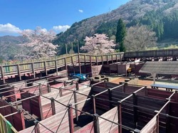 「全国のおすすめ巨大迷路＆立体迷路28選！日本最大級＆変わり種＆アスレチック要素も」の写真