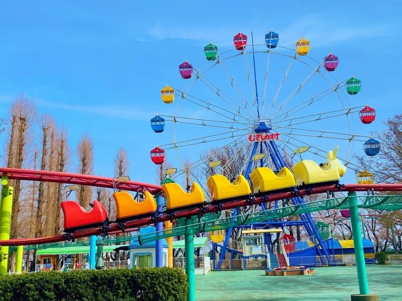 全国のおすすめ巨大迷路＆立体迷路28選！日本最大級＆変わり種＆アスレチック要素もの10枚目の写真