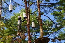 地上約8mで繰り広げられる冒険の森「DGウッドアドベンチャー郡上」