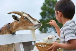 「自家製ソーセージが当たる!? 10周年の茨城・イバライドで親子遊び＆フォトコン体験」の写真