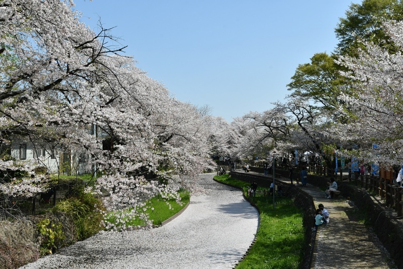 第6回 若泉公園春まつり＆本庄クラフトアートフェア