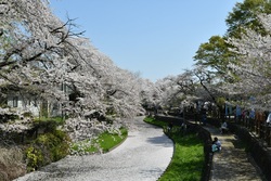 第6回 若泉公園春まつり＆本庄クラフトアートフェア