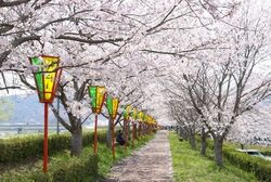 いぼがわ水辺フェスティバル