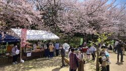 亀池さくらまつり