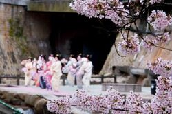 有馬さくら祭2026│（一社）有馬温泉観光協会