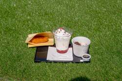 「浅草花やしきに新屋上エリア誕生！樹齢70年以上の桜と「はなかっぱ」コラボで春満喫」の写真