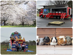舎人公園 千本桜まつり
