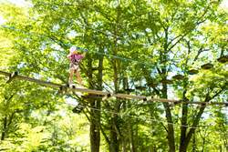 ツリートレッキングなど自然の中で遊べるアクティビティが多数