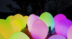 チームラボ《自立しつつも呼応する生命の森》（C） チームラボ ※参考画像