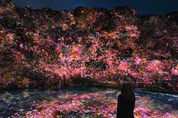 「チームラボ 養老渓谷」養老渓谷, 千葉 （C） チームラボ, Made with CG