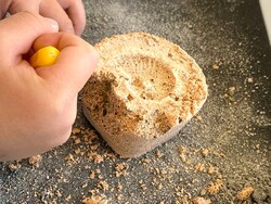 「800円で本物の化石をザクザク発掘！宮城・南三陸で予約不要の体験イベントが毎日開催」の写真