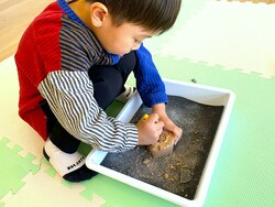 「800円で本物の化石をザクザク発掘！宮城・南三陸で予約不要の体験イベントが毎日開催」の写真