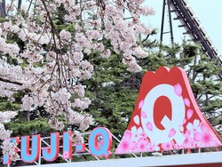 「桜と富士山を眺めながらスイーツ食べ歩き！富士急ハイランドで2日間限定イベント開催」の写真