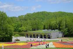 「チューリップ23万本が咲き誇る！北海道・滝野すずらん丘陵公園がグリーンシーズン開幕」の写真