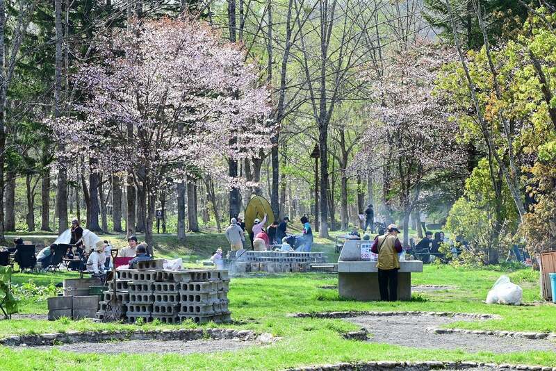 渓流ゾーン・滝野の森ゾーン東エリア