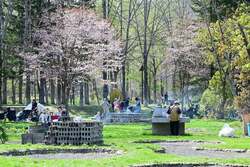 渓流ゾーン・滝野の森ゾーン東エリア