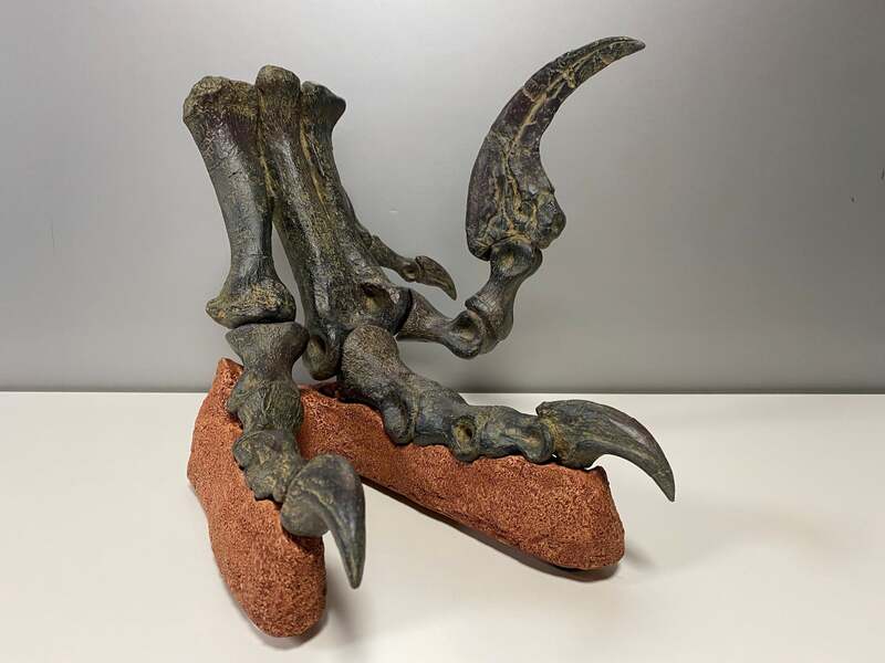 ユタラプトル脚