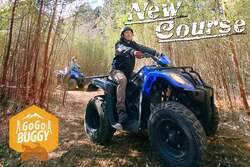 「笹のトンネルを爆走!? 三島スカイウォークのバギーが進化　富士山の絶景を独り占め！」の写真