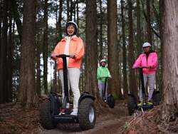 「笹のトンネルを爆走!? 三島スカイウォークのバギーが進化　富士山の絶景を独り占め！」の写真