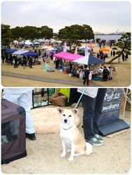 Wan Bonheur 2026（前回開催の様子）