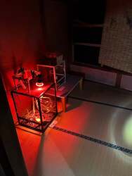 「懐中電灯1つで暗闇の古民家へ…。毒虫や爬虫類が潜む「廃墟動物園」が熱海にオープン」の写真