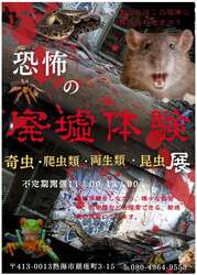 「懐中電灯1つで暗闇の古民家へ…。毒虫や爬虫類が潜む「廃墟動物園」が熱海にオープン」の写真