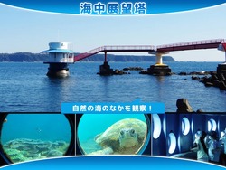 四季折々で違う生き物達が現れる串本の海を乱舞する魚達のようすは、まさにメルヘンの世界♪