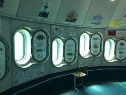 波戸岬一帯の海は暖流と寒流が合流するため、美しい熱帯魚も見られます