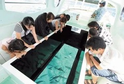 グラスボートに乗船し、海中探索♪