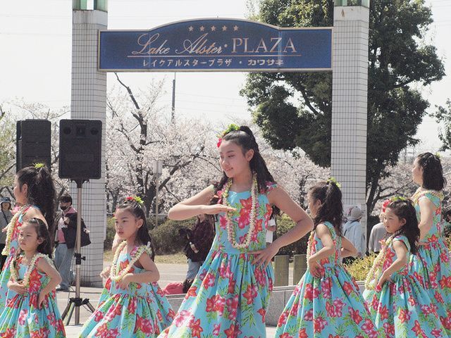 泉の森さくらフェスタ2026│（C)一般財団法人泉佐野市文化振興財団