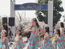 泉の森さくらフェスタ2026│（C)一般財団法人泉佐野市文化振興財団