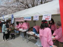 相川河川敷 桜まつり（垂井町観光協会）