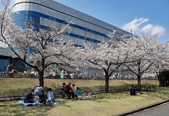 第14回 JFEさくらまつり